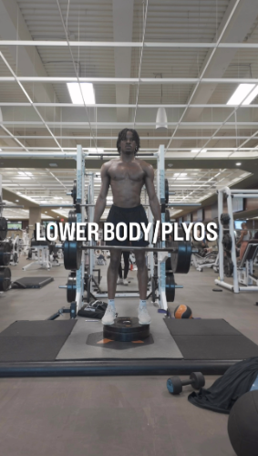 cover for Lower Body/Plyos