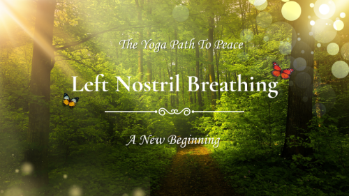 cover for The Yoga Path To Peace: Left Nostril Breathing