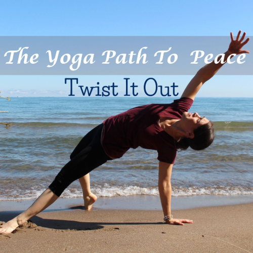 cover for Twist it Out
