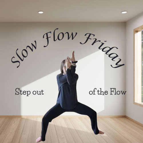 cover for Step out of the Flow