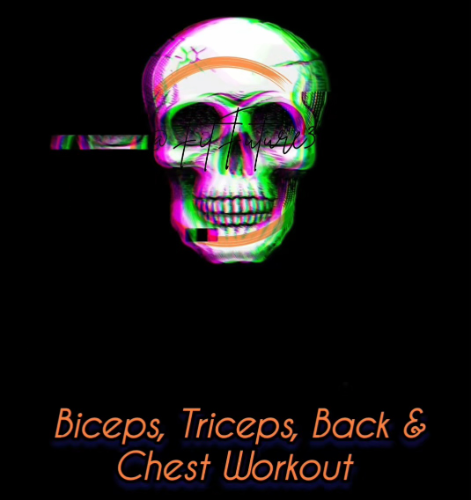 cover for Lean Bulk Plan: Biceps,  Triceps, Back & Chest