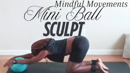 cover for Mini Ball Sculpt
