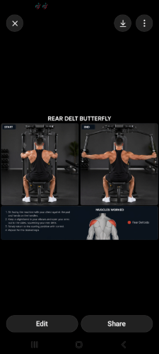 cover for Rear deltoid butterfly