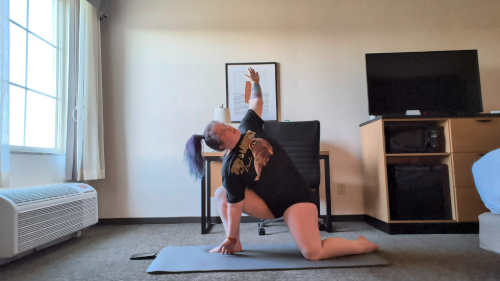 cover for Full body functional fitness