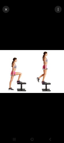 Lower body workout routine beginners to intermediate  cover image