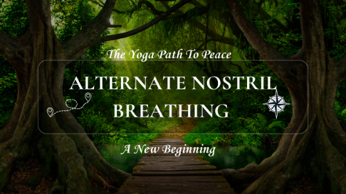 cover for The Yoga Path To Peace: Alternate Nostril Breathing